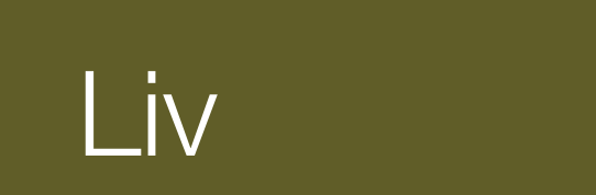 Liv Immobilienvermarktung GmbH